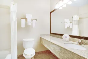 Baymont by Wyndham Dallas/ Love Field - Salle de bain