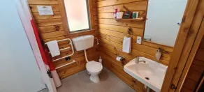Forest Peak Motel - Salle de bain