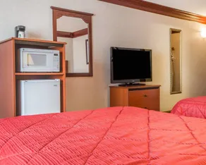Quality Inn & Conference Center Brattleboro North - Room