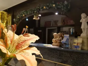 Hotel Zur Engelsburg - Reception