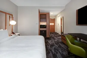 Fairfield by Marriott Inn & Suites Rochester Hills - Chambre