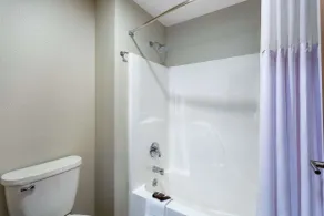 Wingate by Wyndham Wisconsin Dells Waterpark - Salle de bain