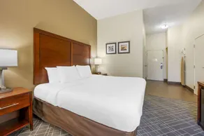 Spark by Hilton Cincinnati Airport South - Habitación
