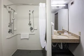 Hilton Garden Inn Sacramento/South Natomas - Salle de bain