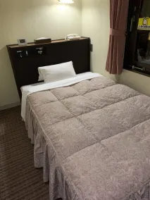 Kanazawa Frexhotel  - Camera