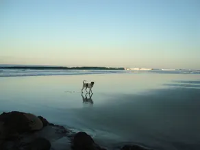 You Imagine Costa Rica Our Location Being on the Beach is What You Imagine - Strand