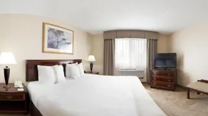 Holiday Inn & Suites Chicago-Carol Stream Wheaton by IHG - Chambre