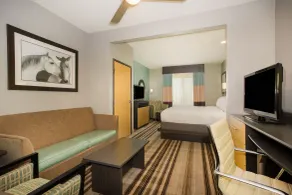 Holiday Inn Express & Suites Amarillo West by IHG - Chambre