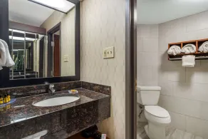 Best Western Plus Houston Energy Corridor - Salle de bain
