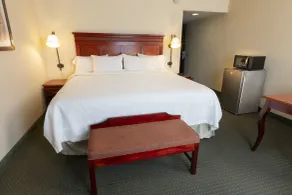 Hampton Inn by Hilton Guadalajara-Aeropuerto - Room