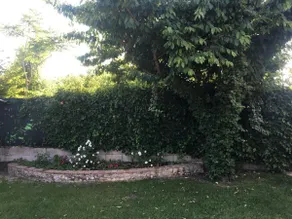Ca' Le Rose - Vista dalla camera