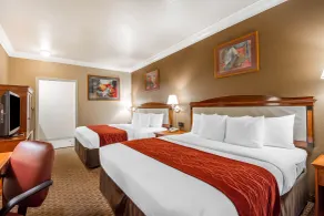 Comfort Inn & Suites San Francisco Airport North - Chambre