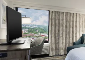 Hampton Inn Pittsburgh University/Medical Center - Udsigt fra værelset