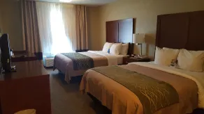 Comfort Inn - Chambre
