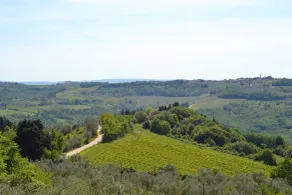 Villa Il Poggiale Dimora Storica - Vistas desde la habitación