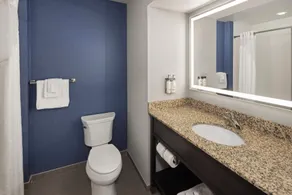Holiday Inn Express Moline - Quad Cities Area by IHG - Salle de bain