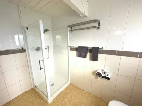 Apex On Fenton Motel - Bathroom