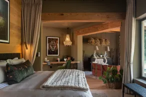 Lush Private Game Lodge - Room