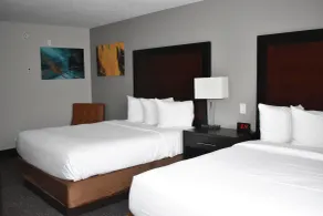 Wingate by Wyndham Atlanta Galleria/ Ballpark - Chambre