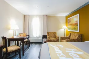 Days Inn by Wyndham Rosenberg - Rum