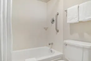 Red Roof Inn Detroit-Rochester Hills/ Auburn Hills - Badezimmer