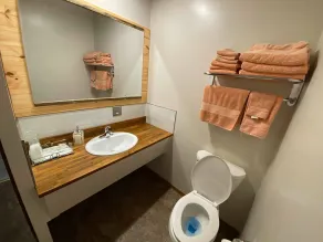 Wolseley Motel - Bathroom