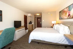 Hilton Garden Inn Daytona Beach Airport - Chambre