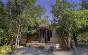 Pench Jungle Camp - Vue de la chambre