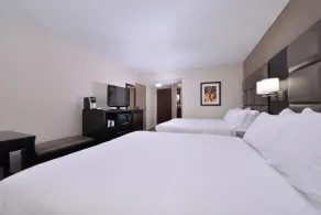 Holiday Inn Express Burlington by IHG - Chambre