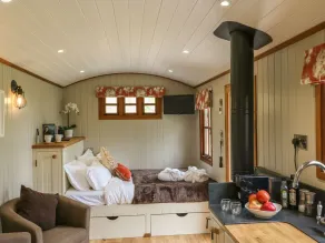 Little Silver Owl - Habitación