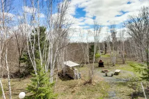 40-acre Brook Park Retreat Near Lakes & Fishing! - Innenbereich
