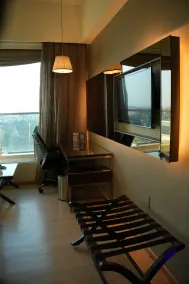 Regenta Central Grand Exotica - View from room