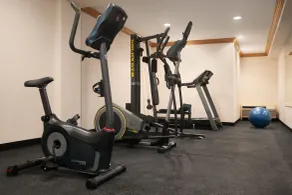 Howard Johnson by Wyndham Romulus Detroit Metro Airport - Salle de remise en forme