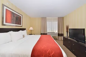 Comfort Suites Highlands Ranch Denver Tech Center Area - Chambre