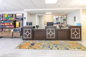 Hampton Inn Tampa-International Airport/Westshore - Réception