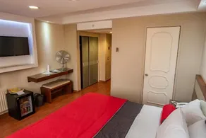 Hotel Libertador - Room