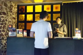 Downtown Beds - Réception