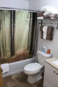 Backwoods Cabins at Susitna River Lodge - Baño