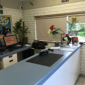 Holland Park Motel - Reception
