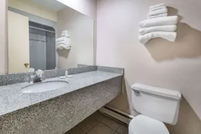 Travelodge by Wyndham Bracebridge - Salle de bain