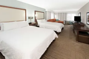 Hampton Inn Birch Run/Frankenmuth - Chambre