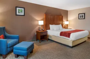 Comfort Inn & Suites Lawrenceburg - Chambre
