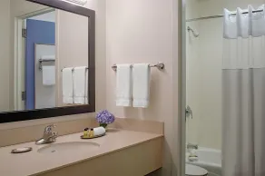 Federal City Inn & Suites - Salle de bain