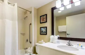 Comfort Inn College Park North - Salle de bain