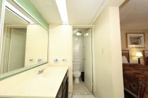 Hotel El Ejecutivo Tijuana - Badeværelse