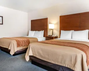 Comfort Inn Salida - Chambre
