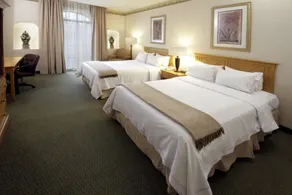 Holiday Inn Express Guanajuato by IHG - Chambre
