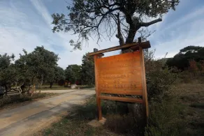 Cabañas Llano de los Conejos - Recepção