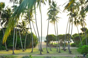 Ocean View - Vue de la chambre