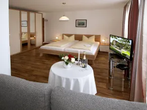 Hotel Restaurant Zum Goldenen Anker mit Hallenbad & Wellnessbereich - Room